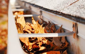 Marton Moss Side gutter cleaning companies