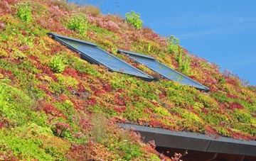 Marton Moss Side living roof systems