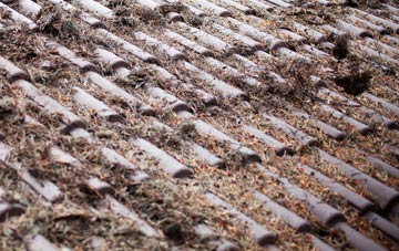 Marton Moss Side roof cleaning companies