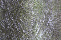 Marton Moss Side fibreglass roof work